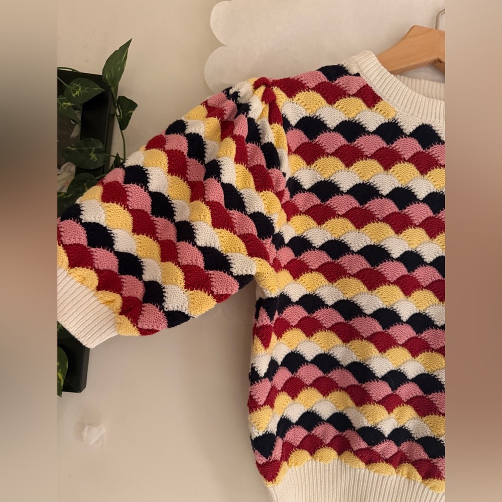 Zara Multicolor Scallop Short-Sleeve Cotton Crochet Knit Sweater Women Small - Picture 3 of 14